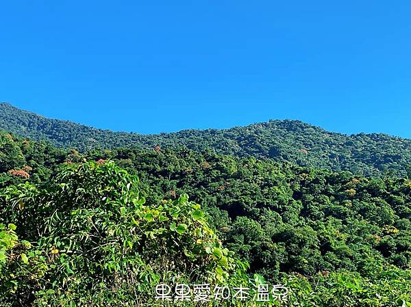 台東知本雲山湯屋⟩沐浴在大自然的環抱裡，享受美麗的山景與悠閒的度假時光，台東寵物友善民宿 @果果愛Fruitlove