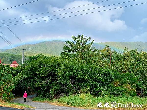 潘氏農場⟩看鴨子上班後再體驗DIY鹹鴨蛋，好吃好玩又可以學習到知識-屏東車城親子景點 @果果愛Fruitlove