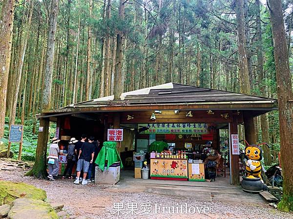 馬武督探索森林⟩新竹關西森林步道，偶像劇拍攝地，綠光小學，親子寵物友善 @果果愛Fruitlove