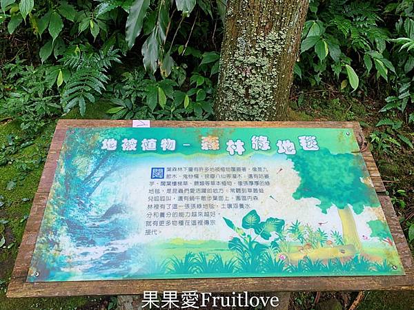 馬武督探索森林⟩新竹關西森林步道，偶像劇拍攝地，綠光小學，親子寵物友善 @果果愛Fruitlove