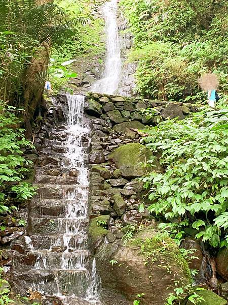 馬武督探索森林⟩新竹關西森林步道，偶像劇拍攝地，綠光小學，親子寵物友善 @果果愛Fruitlove