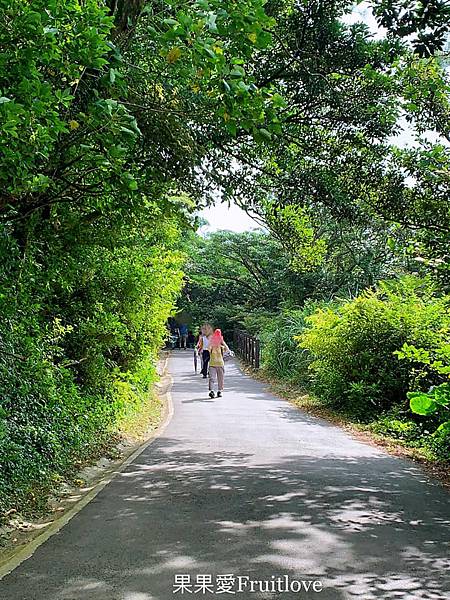 二子坪步道|陽明山最輕鬆的森林步道，二子坪遊客服務站，美景如畫，輕鬆就可以享受芬多精 @果果愛Fruitlove