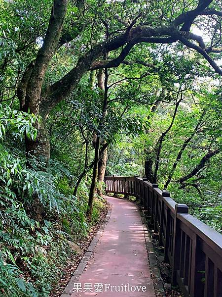 二子坪步道|陽明山最輕鬆的森林步道，二子坪遊客服務站，美景如畫，輕鬆就可以享受芬多精 @果果愛Fruitlove