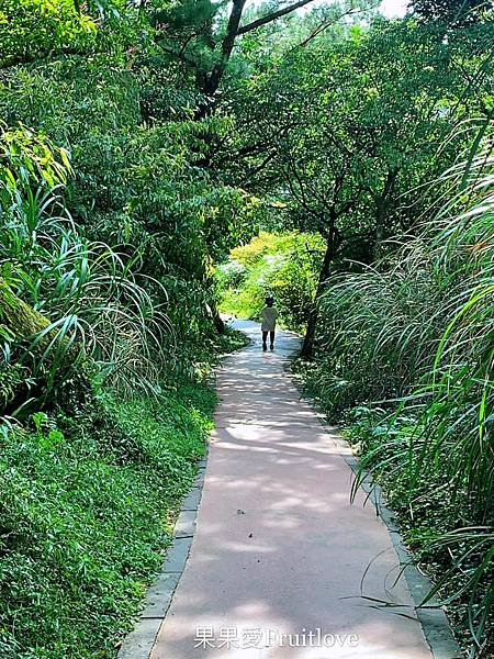 二子坪步道|陽明山最輕鬆的森林步道，二子坪遊客服務站，美景如畫，輕鬆就可以享受芬多精 @果果愛Fruitlove