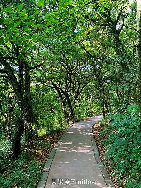 二子坪步道|陽明山最輕鬆的森林步道，二子坪遊客服務站，美景如畫，輕鬆就可以享受芬多精 @果果愛Fruitlove