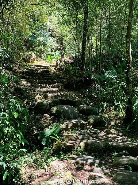 苗栗南庄景點-四十二份湧泉自然生態步道是很輕鬆的森林步道，這裡根本是南庄秘境 @果果愛Fruitlove