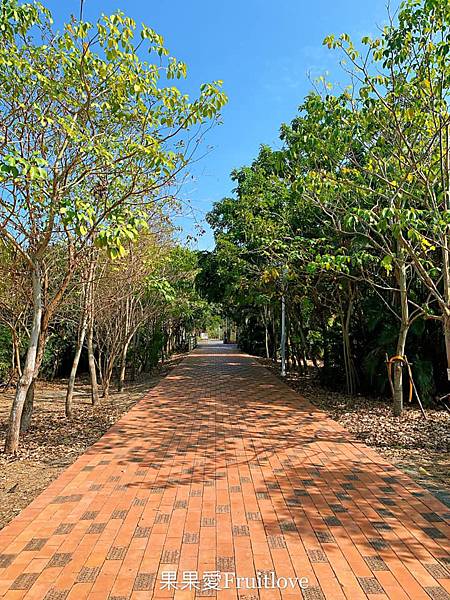 彰化景點-溪州公園親子草地野餐、餵魚，賞花，還有滿滿芬多精的森林步道 @果果愛Fruitlove