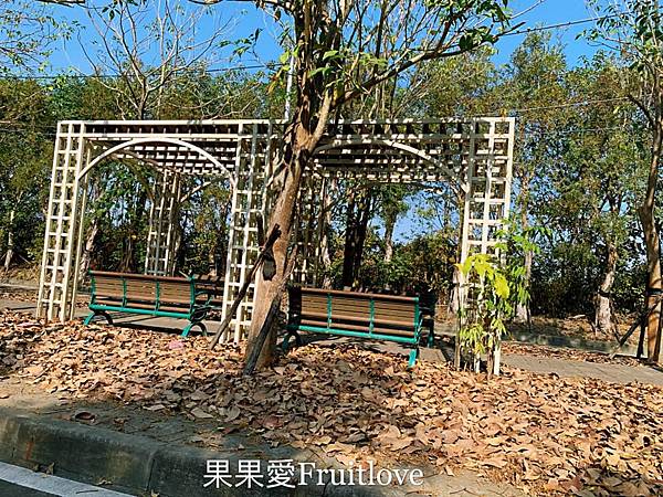 彰化景點-溪州公園親子草地野餐、餵魚，賞花，還有滿滿芬多精的森林步道 @果果愛Fruitlove