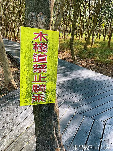 彰化景點-溪州公園親子草地野餐、餵魚，賞花，還有滿滿芬多精的森林步道 @果果愛Fruitlove