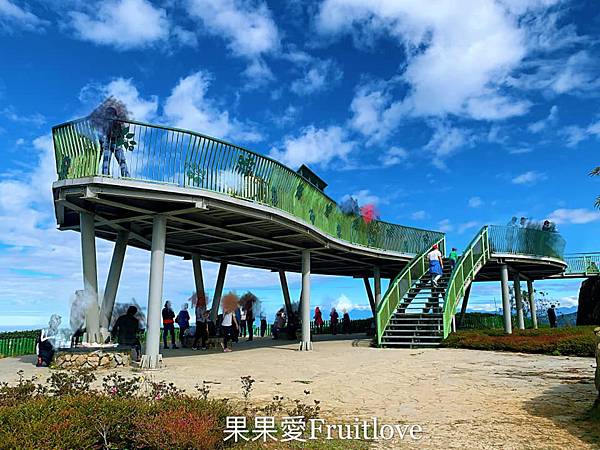 雲嶺之丘、五元兩角、杉木林步道一日遊 @果果愛Fruitlove