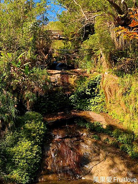 圓潭生態園區⟩嘉義梅山景點/寵物友善景點-欣賞台灣中海拔溪谷地形的最棒的地點，輕鬆就可以享受芬多精 @果果愛Fruitlove