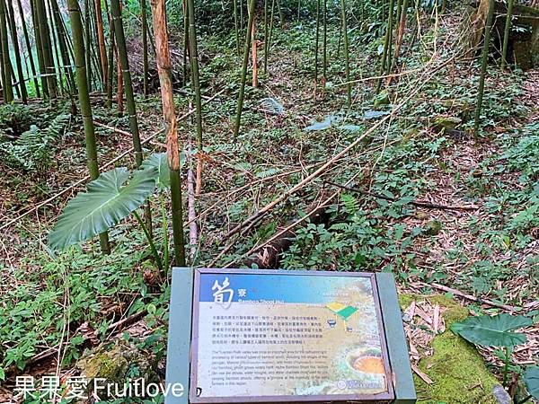 圓潭生態園區⟩嘉義梅山景點/寵物友善景點-欣賞台灣中海拔溪谷地形的最棒的地點，輕鬆就可以享受芬多精 @果果愛Fruitlove