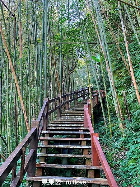 圓潭生態園區⟩嘉義梅山景點/寵物友善景點-欣賞台灣中海拔溪谷地形的最棒的地點，輕鬆就可以享受芬多精 @果果愛Fruitlove