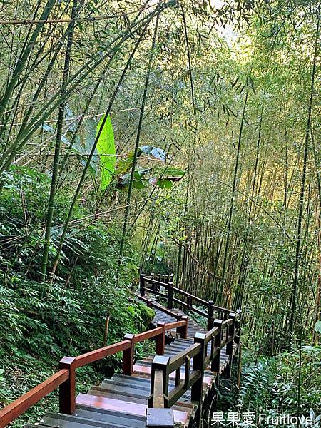 圓潭生態園區⟩嘉義梅山景點/寵物友善景點-欣賞台灣中海拔溪谷地形的最棒的地點，輕鬆就可以享受芬多精 @果果愛Fruitlove