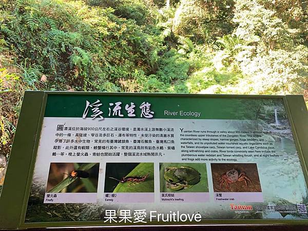 圓潭生態園區⟩嘉義梅山景點/寵物友善景點-欣賞台灣中海拔溪谷地形的最棒的地點，輕鬆就可以享受芬多精 @果果愛Fruitlove