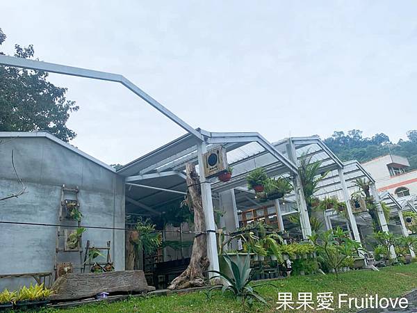 太平雲梯、太平老街 ⟩嘉義梅山景點，走吊橋、賞美景、品嘗老街美食，嘉義梅山寵物友善景點 @果果愛Fruitlove