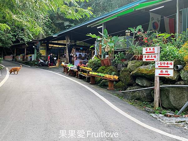 達娜伊谷自然生態公園|嘉義阿里山景點，感受鄒族的部落與文化特色，寵物友善景點 @果果愛Fruitlove