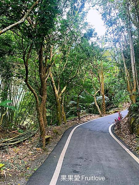 達娜伊谷自然生態公園|嘉義阿里山景點，感受鄒族的部落與文化特色，寵物友善景點 @果果愛Fruitlove