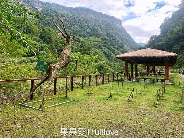 達娜伊谷自然生態公園|嘉義阿里山景點，感受鄒族的部落與文化特色，寵物友善景點 @果果愛Fruitlove