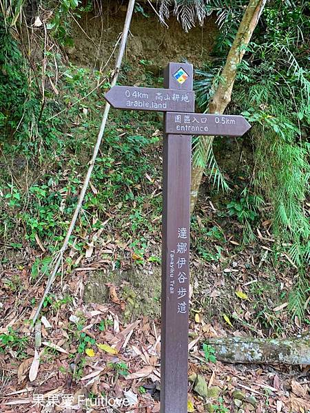 達娜伊谷自然生態公園|嘉義阿里山景點，感受鄒族的部落與文化特色，寵物友善景點 @果果愛Fruitlove