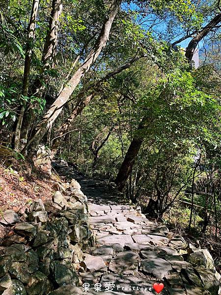 可以從高處欣賞谷關的美景　捎來步道　　有陡坡需要一些腳力　　親子寵物友善　不限大小　最少要牽繩 @果果愛Fruitlove