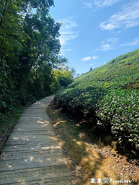 雲之南道步道⟩嘉義景點-漫步在太平雲梯旁的茶園步道，享受茶香的自然芬芳  眺望太平聚落．以及嘉南美景 @果果愛Fruitlove