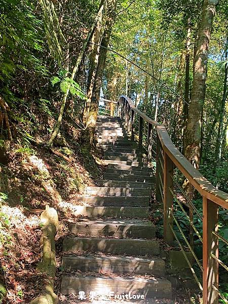 雲之南道步道⟩嘉義景點-漫步在太平雲梯旁的茶園步道，享受茶香的自然芬芳  眺望太平聚落．以及嘉南美景 @果果愛Fruitlove