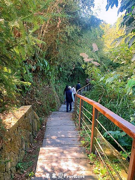 雲之南道步道⟩嘉義景點-漫步在太平雲梯旁的茶園步道，享受茶香的自然芬芳  眺望太平聚落．以及嘉南美景 @果果愛Fruitlove