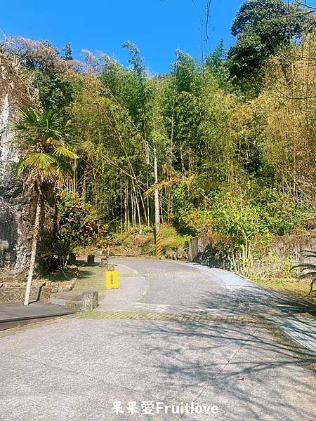 頂湖自然生態區 Dinghu Trail ⟩ 輕鬆健走不費力的步道-嘉義阿里山景點 @果果愛Fruitlove