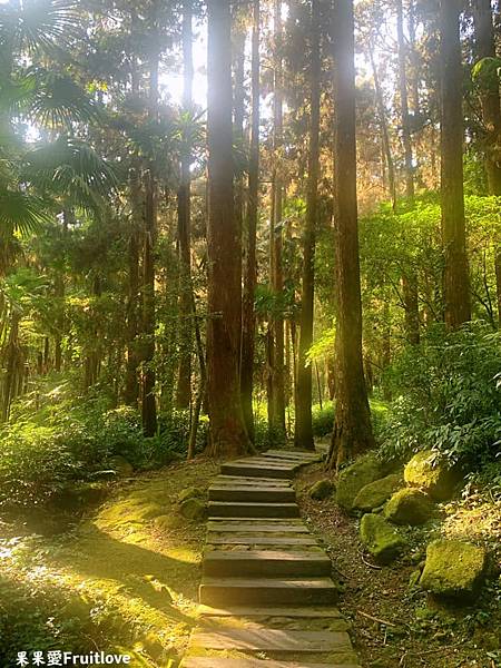 頂湖自然生態區 Dinghu Trail ⟩ 輕鬆健走不費力的步道-嘉義阿里山景點 @果果愛Fruitlove