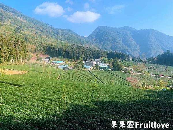 頂湖自然生態區 Dinghu Trail ⟩ 輕鬆健走不費力的步道-嘉義阿里山景點 @果果愛Fruitlove