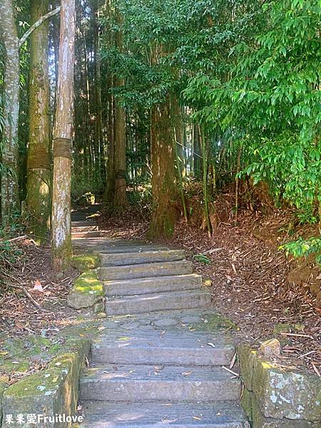 頂湖自然生態區 Dinghu Trail ⟩ 輕鬆健走不費力的步道-嘉義阿里山景點 @果果愛Fruitlove