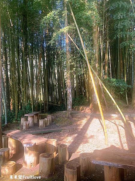 頂湖自然生態區 Dinghu Trail ⟩ 輕鬆健走不費力的步道-嘉義阿里山景點 @果果愛Fruitlove