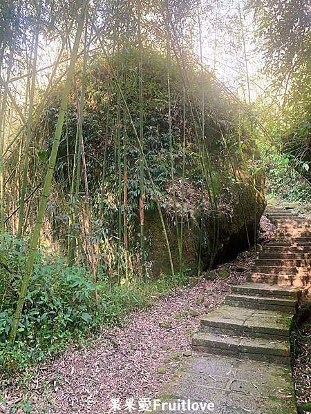 頂湖自然生態區 Dinghu Trail ⟩ 輕鬆健走不費力的步道-嘉義阿里山景點 @果果愛Fruitlove