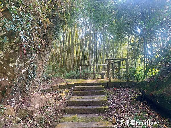 頂湖自然生態區 Dinghu Trail ⟩ 輕鬆健走不費力的步道-嘉義阿里山景點 @果果愛Fruitlove