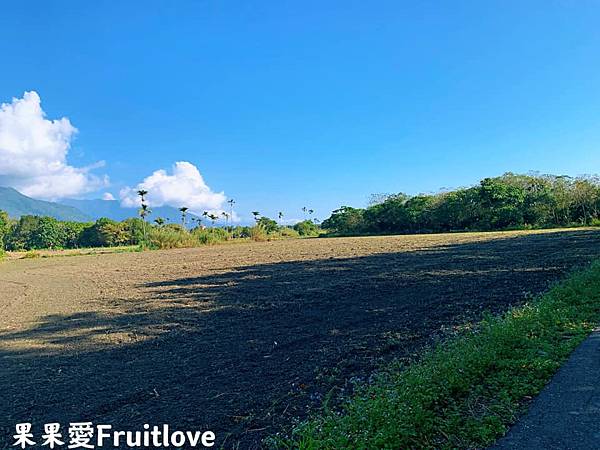 [花蓮住宿]雲上太陽，超狂迎賓餐，整隻桶仔雞端上桌，還有可以睡客房和睡營帳的房型，親子寵物友善 @果果愛Fruitlove