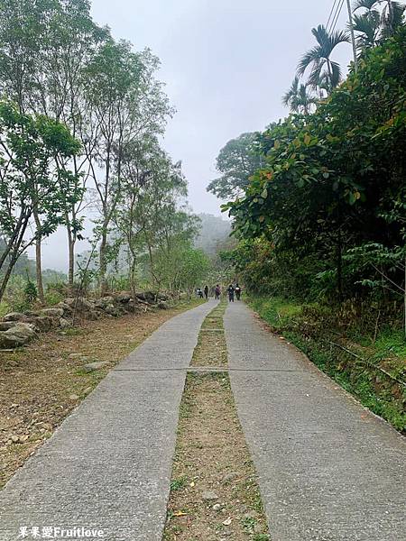 古坑一日遊，漫遊華山11號步道，品味華山在地古早味小吃，享受午后悠閒時光，古坑綠色隧道 @果果愛Fruitlove