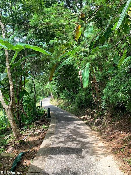 涵碧步道⟩南投魚池景點，漫步詩意的輕鬆森林步道，欣賞每次蜿蜒後的不同景緻，享受心靈的沉澱、放鬆、充電-南投日月潭景點/寵物友善 @果果愛Fruitlove