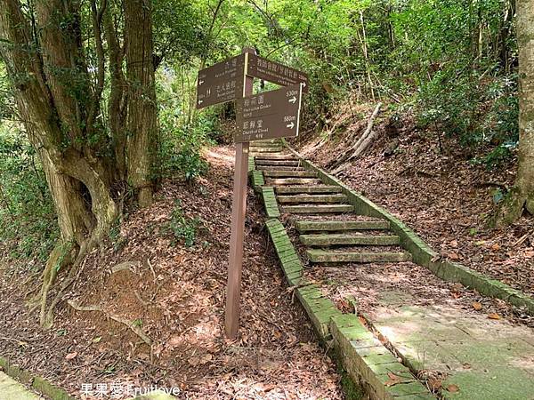 涵碧步道⟩南投魚池景點，漫步詩意的輕鬆森林步道，欣賞每次蜿蜒後的不同景緻，享受心靈的沉澱、放鬆、充電-南投日月潭景點/寵物友善 @果果愛Fruitlove