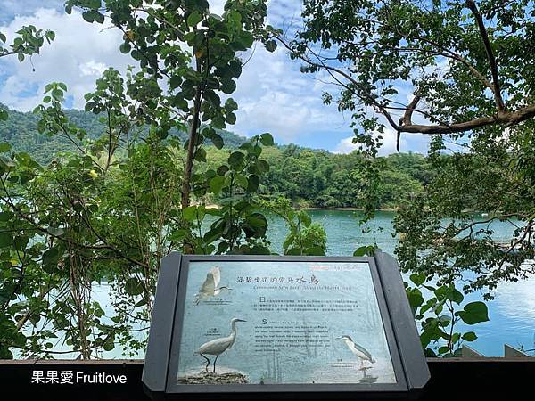 涵碧步道⟩南投魚池景點，漫步詩意的輕鬆森林步道，欣賞每次蜿蜒後的不同景緻，享受心靈的沉澱、放鬆、充電-南投日月潭景點/寵物友善 @果果愛Fruitlove