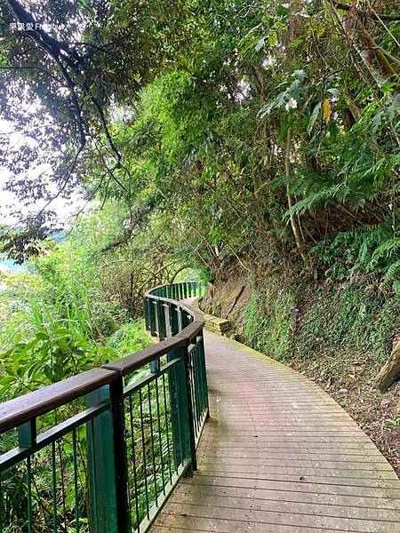 涵碧步道⟩南投魚池景點，漫步詩意的輕鬆森林步道，欣賞每次蜿蜒後的不同景緻，享受心靈的沉澱、放鬆、充電-南投日月潭景點/寵物友善 @果果愛Fruitlove