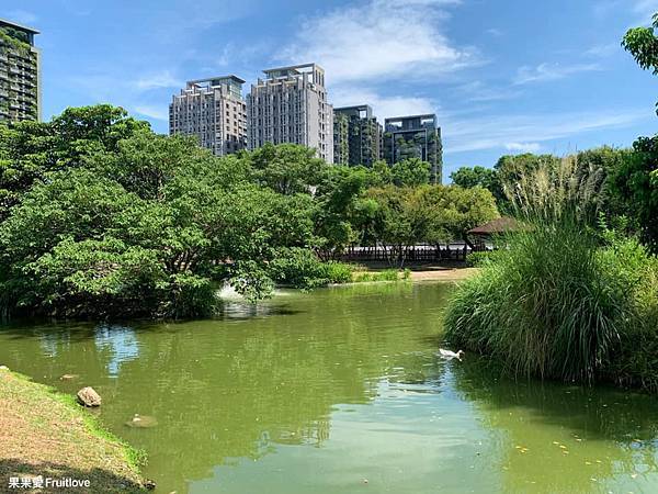 水圳森林公園⟩漫步湖畔，享受都市中的寧靜，都市裡放鬆的景點 @果果愛Fruitlove