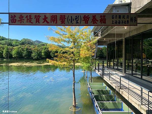 養蟹人家⟩季節限定蟹季才開放！在美麗的落羽松庭園，享受大閘蟹飽滿的蟹黃-苗栗南庄美食/寵物友善景觀餐廳 @果果愛Fruitlove