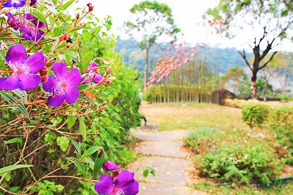 嘉義景點-旺萊山愛情大草原，一大片舒適寬敞乾淨的草地，可以散步、野餐，還可以在涼亭乘坐 @果果愛Fruitlove