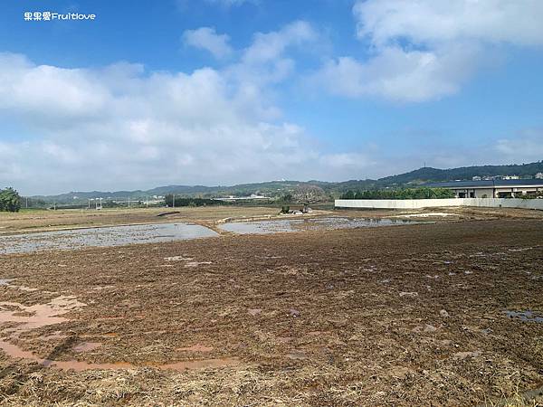 苗栗銅鑼景點-龍貓土地公⟩IG打卡景點 • 免費景點 • 創造傳承與藝術交織的童趣，讓拜拜也能變得更加不同 @果果愛Fruitlove