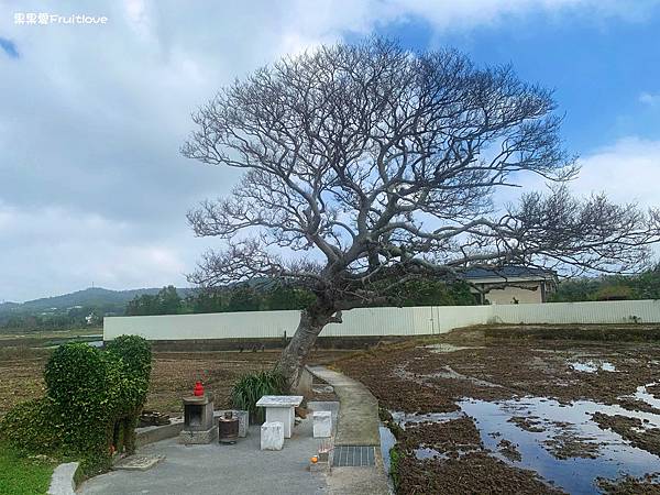 苗栗銅鑼景點-龍貓土地公⟩IG打卡景點 • 免費景點 • 創造傳承與藝術交織的童趣，讓拜拜也能變得更加不同 @果果愛Fruitlove