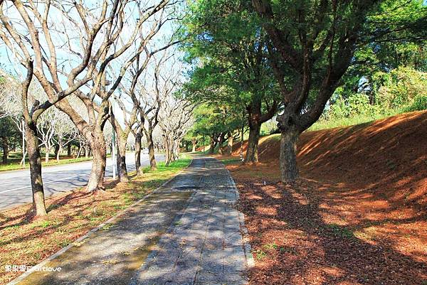 南投賞櫻景點  &#8211;  國立暨南國際大學，乘坐在櫻花樹下野餐，吹著微風，望向寬闊延伸的草地與山景，讓人可以好好放鬆的美麗景點 @果果愛Fruitlove