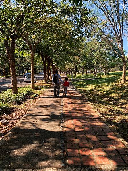 南投賞櫻景點  &#8211;  國立暨南國際大學，乘坐在櫻花樹下野餐，吹著微風，望向寬闊延伸的草地與山景，讓人可以好好放鬆的美麗景點 @果果愛Fruitlove