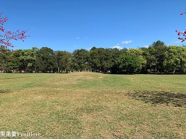 南投賞櫻景點  &#8211;  國立暨南國際大學，乘坐在櫻花樹下野餐，吹著微風，望向寬闊延伸的草地與山景，讓人可以好好放鬆的美麗景點 @果果愛Fruitlove