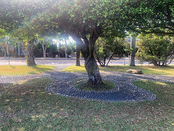 南投景點-親情公園樹下乘涼、野餐、玩耍，增進親子感情的好地方 @果果愛Fruitlove